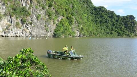 Kiểm lâm Hải Phòng ứng dụng chuyển đổi số trong quản lý, bảo vệ rừng