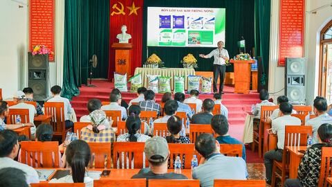 Xây dựng quy trình sản xuất hành củ an toàn ở xã Nam An Phụ