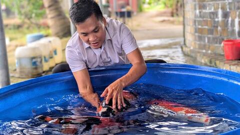 9X Hải Phòng được vinh danh 'Nông dân Việt Nam xuất sắc 2025'