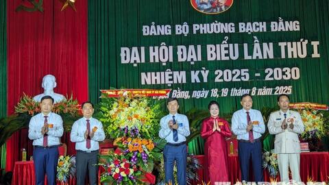 Xây dựng đô thị phường Bạch Đằng xanh, thân thiện môi trường