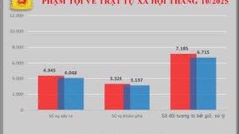 Số liệu về công tác đấu tranh phòng, chống tội phạm tháng 10/2025