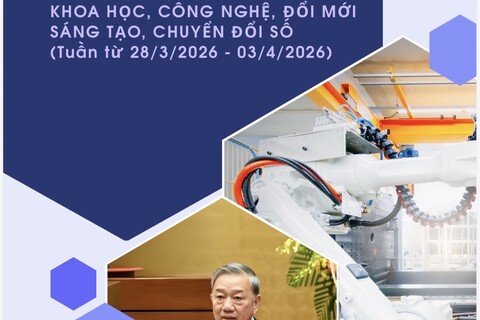 Bản tin KHCN số 13 năm 2026