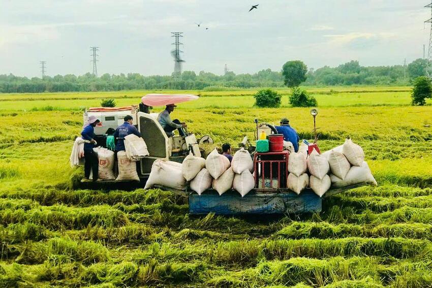 Đổi mới sáng tạo trong toàn xã hội