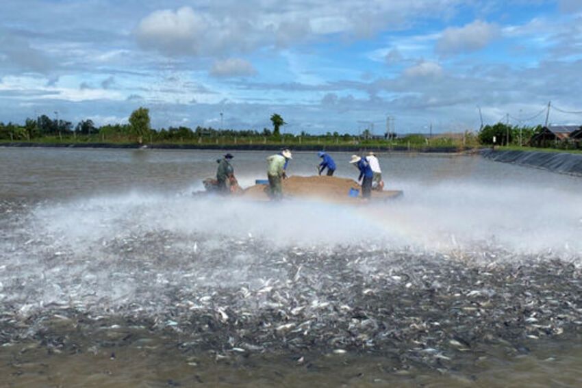 An Giang trên hành trình trở thành cực tăng trưởng mới của vùng