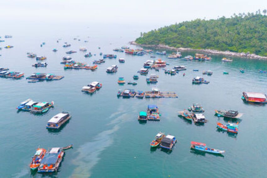 Rộn ràng Lễ hội Nghinh Ông Lại Sơn đặc khu Kiên Hải năm 2025 