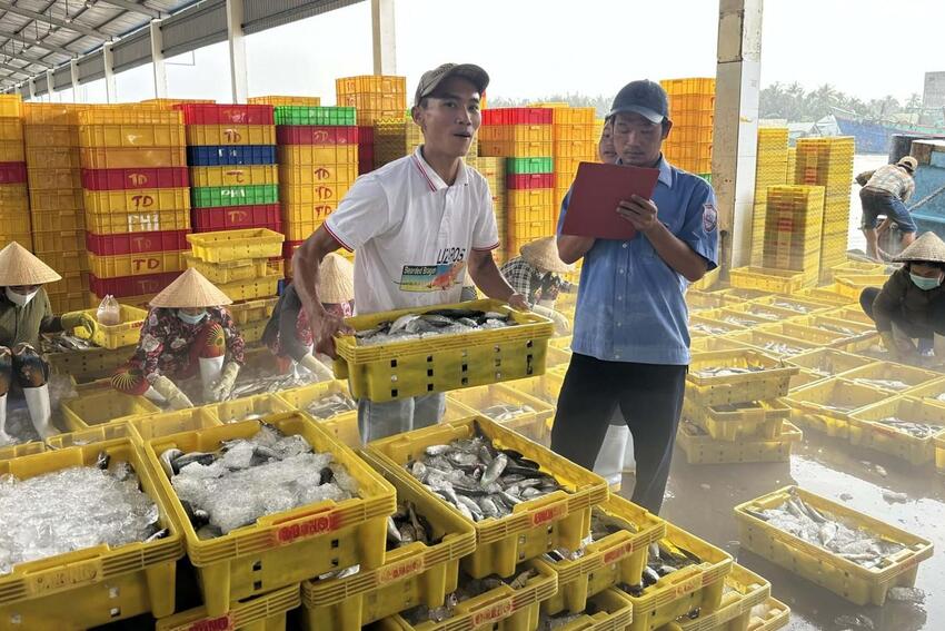 Hệ lụy từ “thẻ vàng” EC