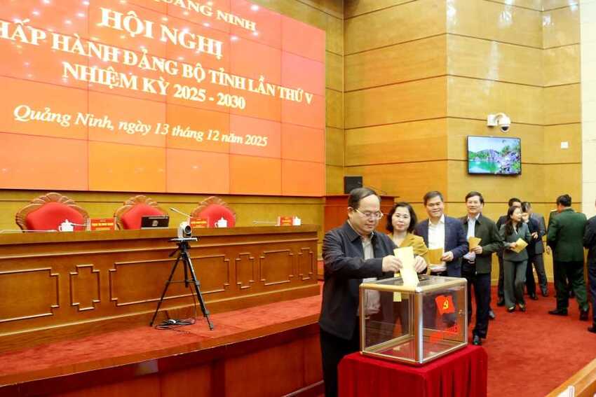 Hội nghị Ban Chấp hành Đảng bộ tỉnh lần thứ V