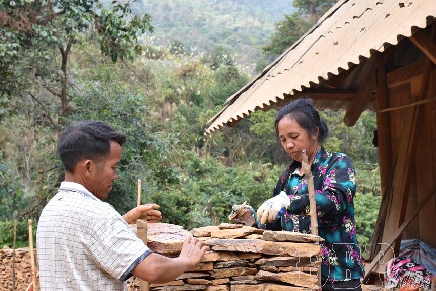 Chủ thể nông thôn mới