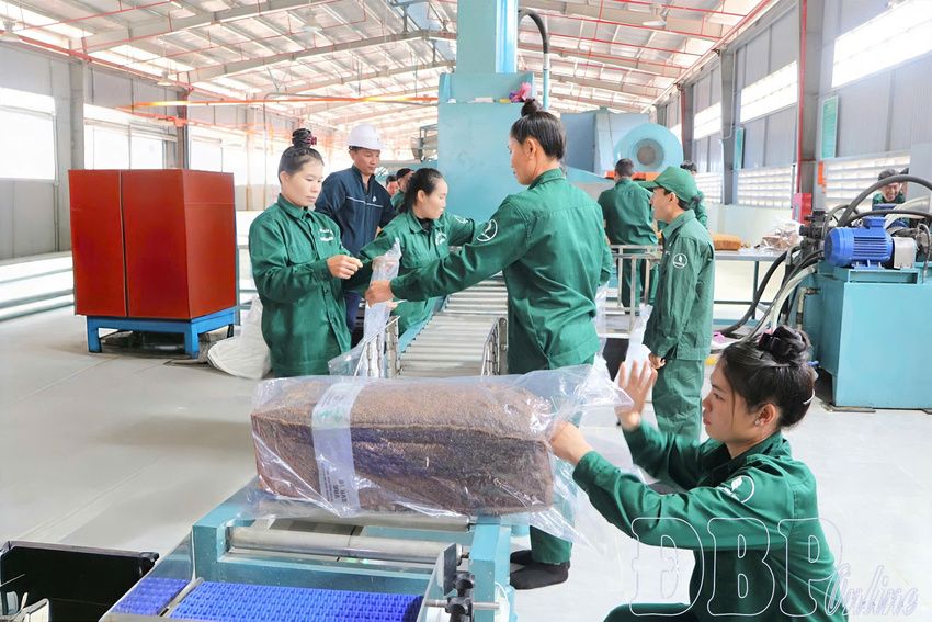 Ứng dụng công nghệ xanh phát triển công nghiệp