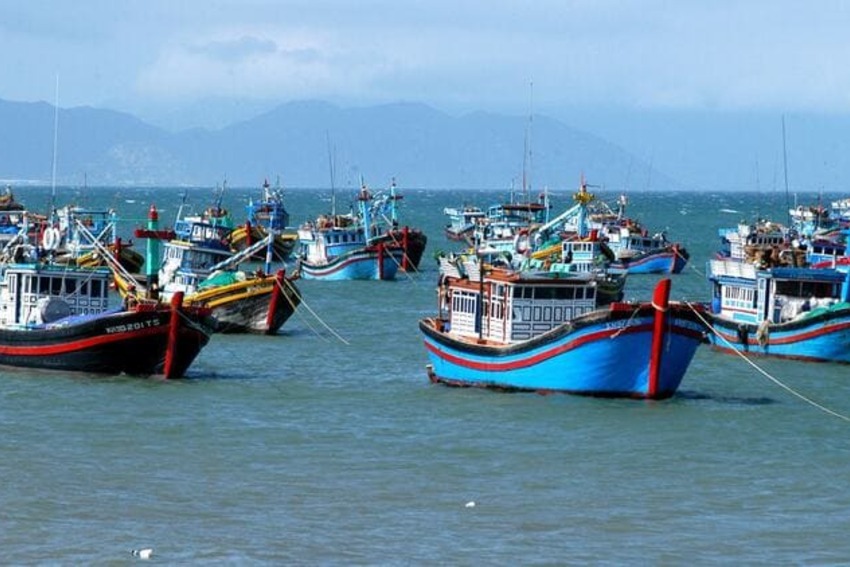 Công bố dữ liệu tàu cá và nuôi trồng thủy sản, hướng dẫn kết nối, khai thác sử dụng dữ liệu tàu cá và nuôi trồng thủy sản thay thế giấy tờ trong giải quyết thủ tục hành chính