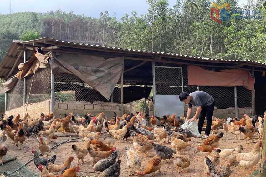 Hỗ trợ tạo việc làm cho đồng bào dân tộc thiểu số