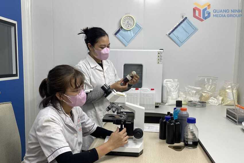 Nền tảng quan trọng đưa Quảng Ninh bước vào kỷ nguyên đổi mới sáng tạo