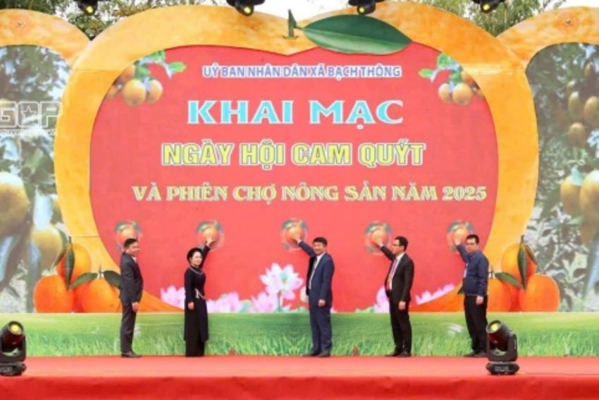 Thái Nguyên: Rộn ràng Ngày hội cam, quýt Bạch Thông