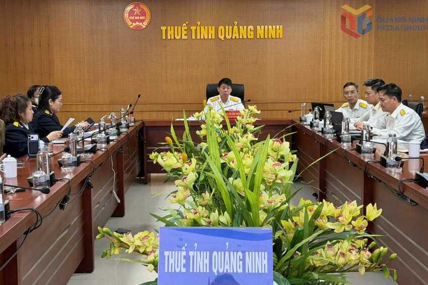 Tập huấn, giới thiệu về Cổng trải nghiệm dành cho các hộ, cá nhân kinh doanh kê khai thuế