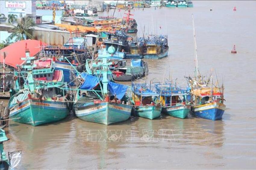 Tuyên chiến với IUU. Bài 3: Việt Nam chuẩn bị đầy đủ các điều kiện để gỡ "thẻ vàng"