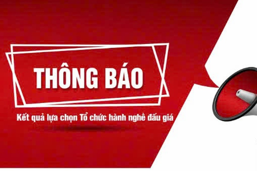 VPCP thông báo kết quả lựa chọn tổ chức hành nghề đấu giá tài sản