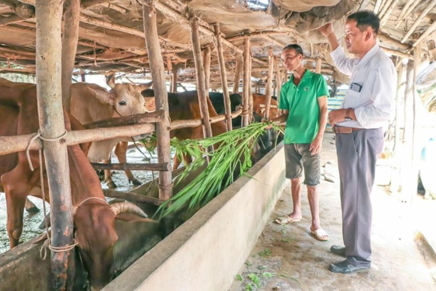 Nông dân Long Hiệp học và làm theo Bác góp phần xây dựng quê hương