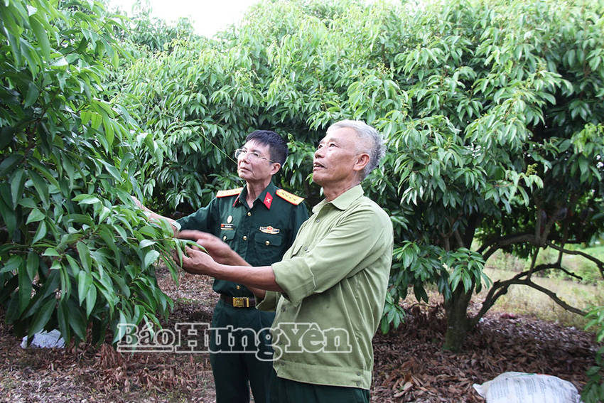 Phát huy phẩm chất Bộ đội Cụ Hồ trên mặt trận phát triển kinh tế