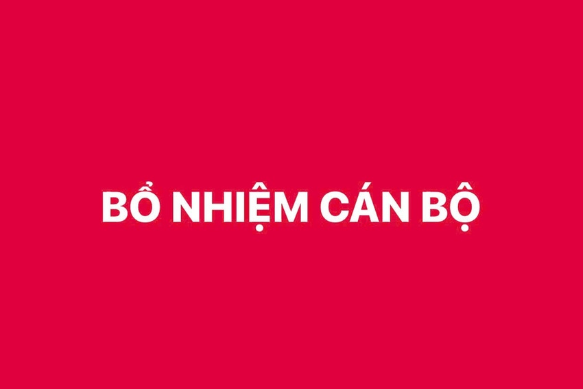 Bổ nhiệm lãnh đạo Vụ Khoa giáo - Văn xã, Vụ Kinh tế tổng hợp