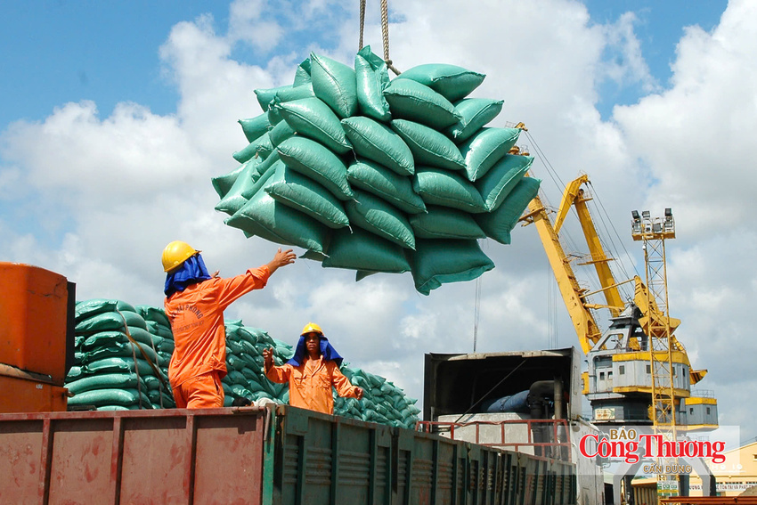 Một số thông tin về Nghị định số 365/2026/NĐ-CP ngày 23 tháng 9 năm 2026 của Chính phủ về kinh doanh xuất, nhập khẩu gạo