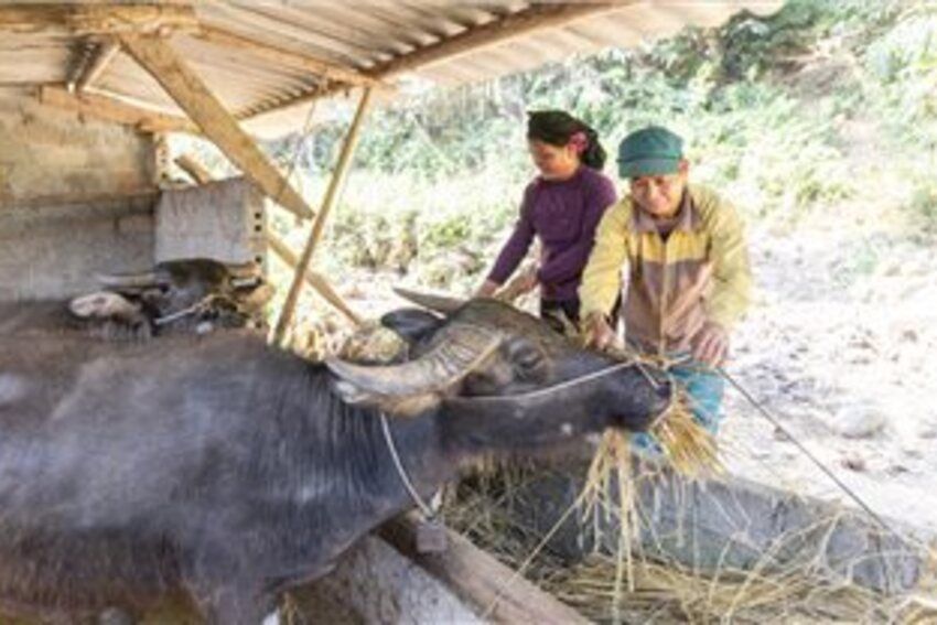 Tuyên Quang: Vùng đồng bào DTTS đang đổi thay nhờ nguồn lực đầu tư sát với nhu cầu thực tế