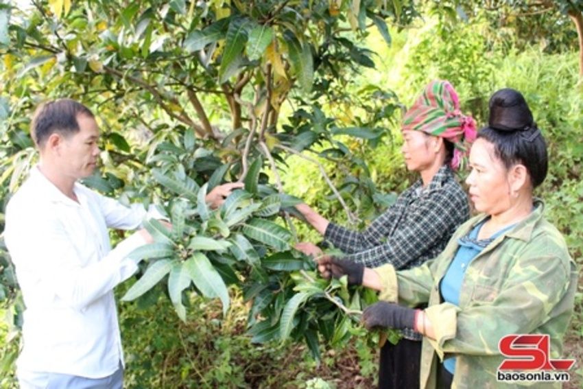 Chi bộ tiêu biểu học và làm theo Bác