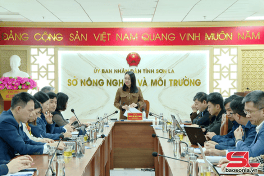 Nắm tình hình triển khai phong trào “Bình dân học vụ số”