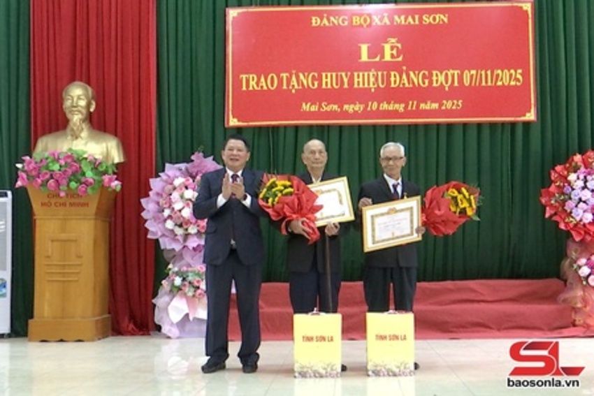 Đồng chí Phó Bí thư Thường trực Tỉnh ủy trao Huy hiệu Đảng đợt 7/11