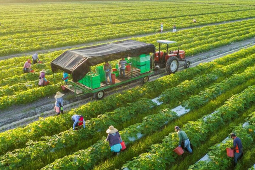 Đẩy mạnh phát triển kinh tế tuần hoàn trong nông nghiệp ở Việt Nam