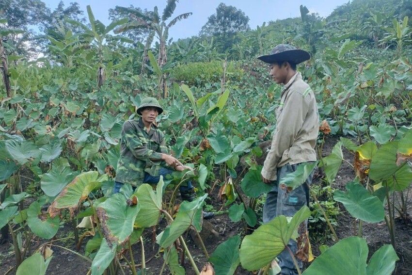 Bí thư chi bộ tiêu biểu