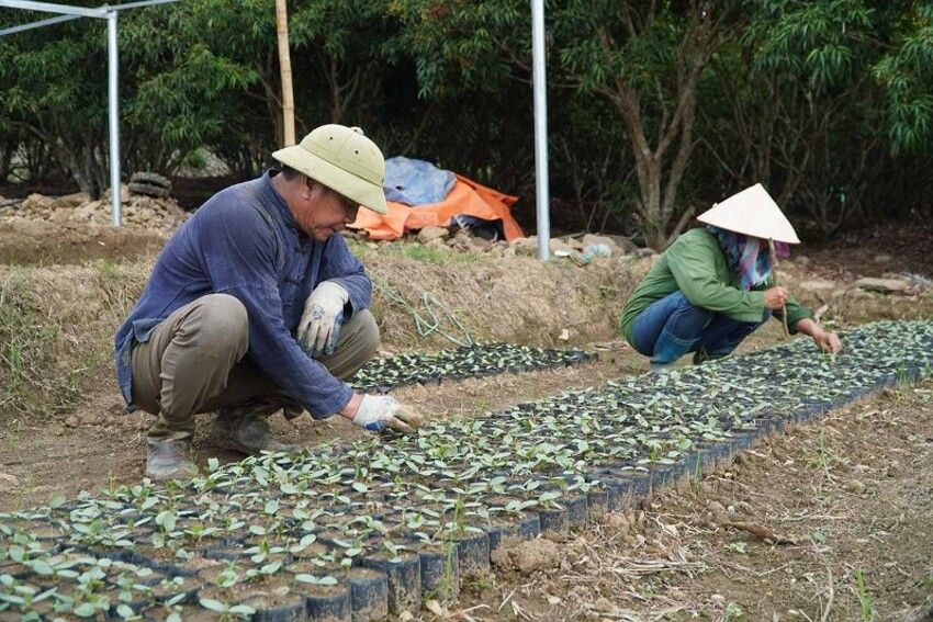 Cần cù, sáng tạo trong lao động