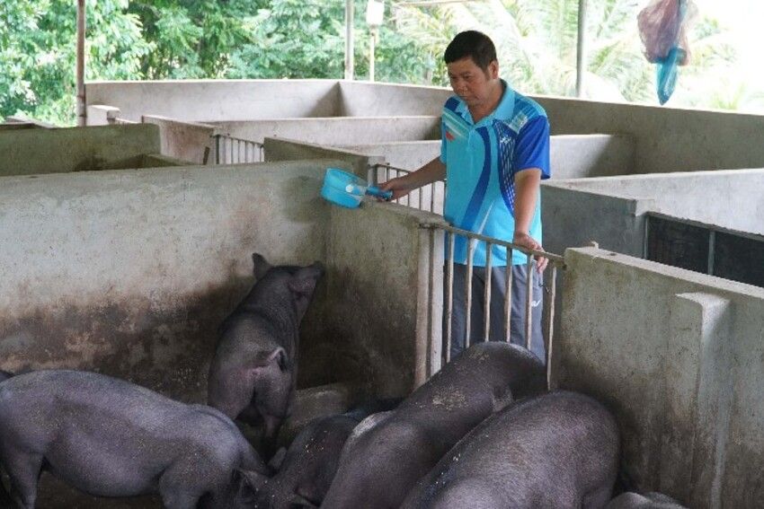 Những đảng viên tiên phong, gương mẫu
