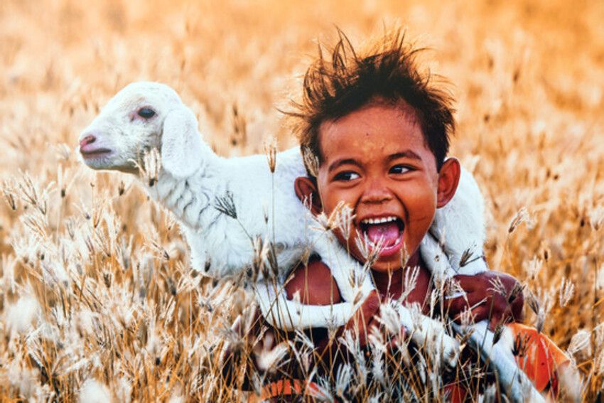 Hồ Gươm rộn ràng với những khoảnh khắc tuyệt đẹp của đồng bào vùng cao