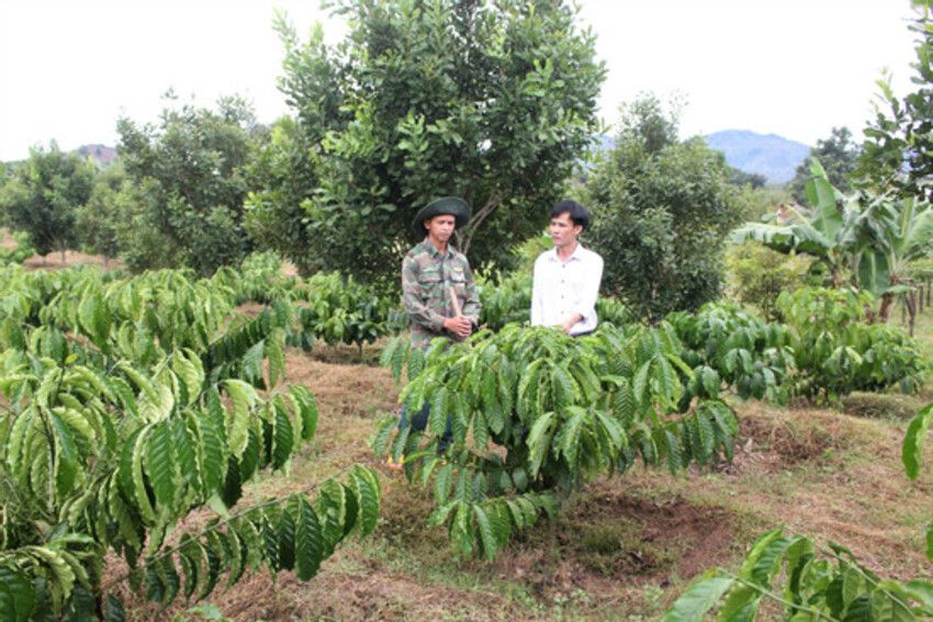 Những bí thư chi bộ trẻ làm thay đổi diện mạo vùng cao Quảng Ngãi