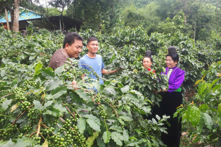 Bí thư 39 tuổi xóa "5 không" ở bản nghèo