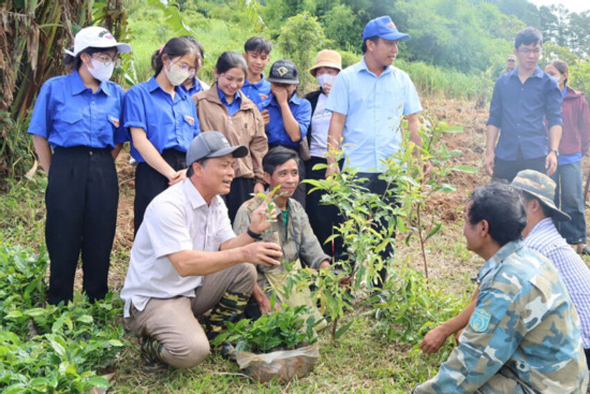 Ban đêm xuống thôn nghe dân nói, ban ngày dùng AI giải quyết việc dân