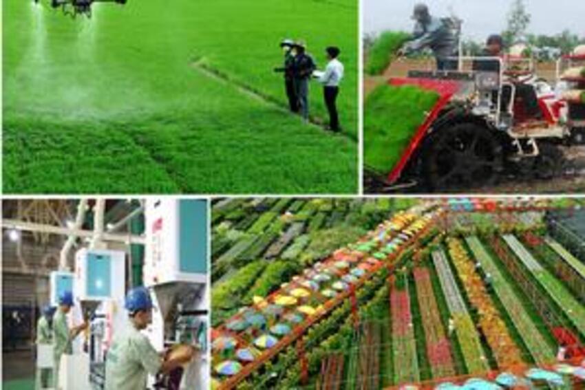 Đồng Tháp: Ưu tiên phát triển kinh tế số