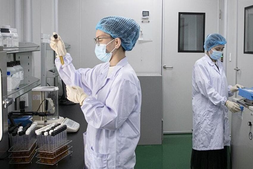 Cơ chế, chính sách thu hút chuyên gia khoa học, công nghệ, đổi mới sáng tạo và chuyển đổi số