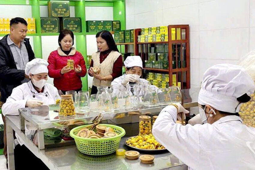 Thái Nguyên: 35 sản phẩm nông nghiệp tiêu biểu cấp tỉnh năm 2025