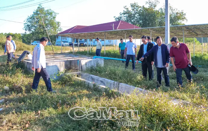 Cà Mau khảo sát mô hình nông nghiệp tại Bo ly khăm xay