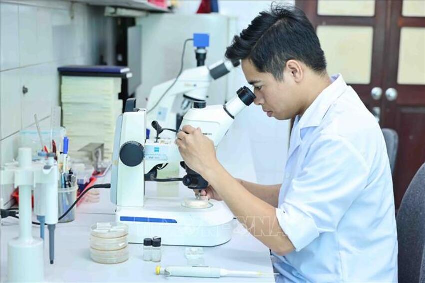 Chính sách ưu đãi đối với nhà khoa học và kỹ sư trẻ tài năng