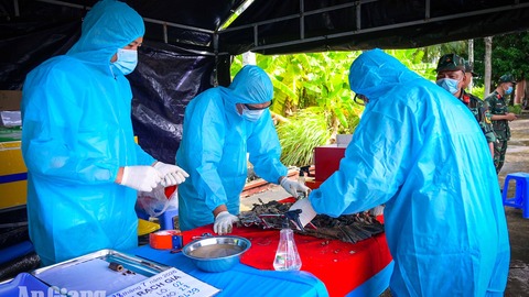 An Giang tăng tốc lấy mẫu sinh phẩm, xác định danh tính cho liệt sĩ