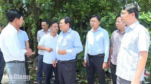 Phó Chủ tịch tỉnh An Giang yêu cầu làm rõ trách nhiệm, đẩy nhanh tiến độ Dự án đường Hồ Chí Minh
