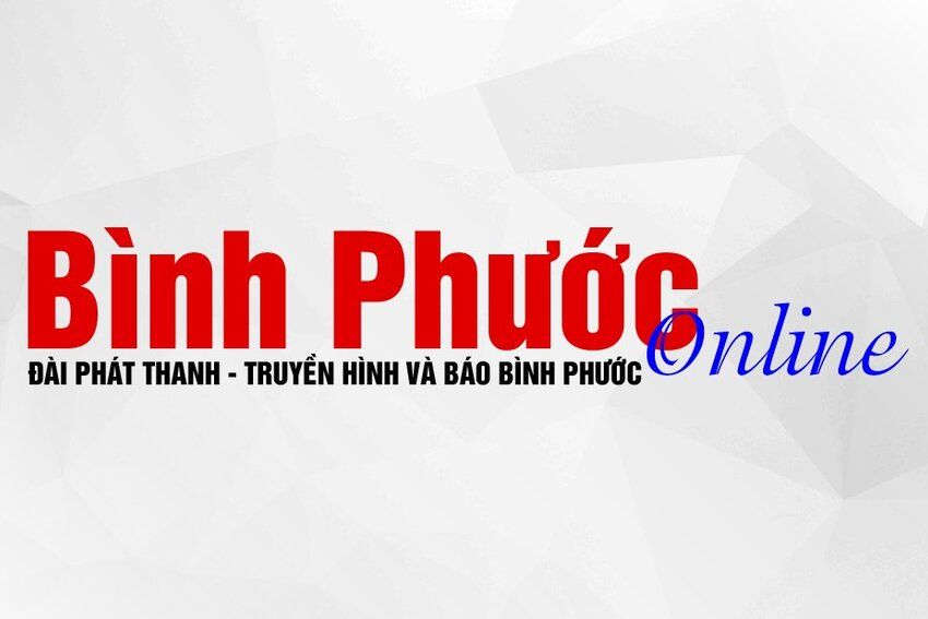 Không thể đi ngược niềm vui của đất nước