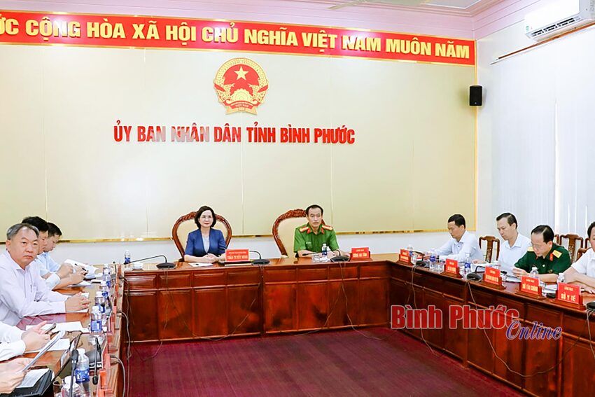 Nhiều vi phạm giao thông có tính phổ biến đã giảm sâu