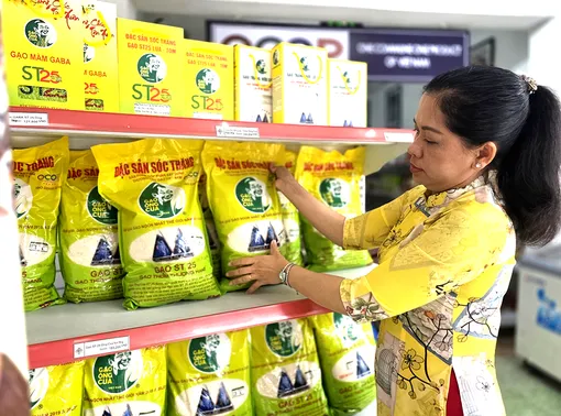 Hình thành hệ sinh thái hỗ trợ toàn diện chuỗi giá trị tài sản trí tuệ 