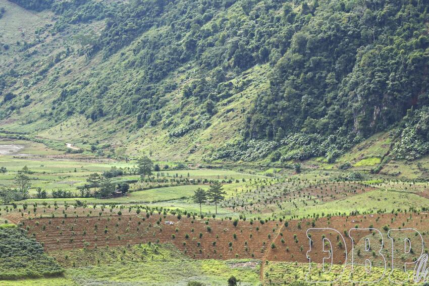 Linh hoạt đưa nghị quyết của Đảng vào cuộc sống