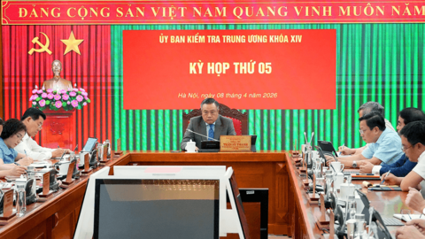 Khai trừ Đảng nguyên Phó Giám đốc Sở Kế hoạch và Đầu tư thành phố Hồ Chí Minh Sử Ngọc Anh