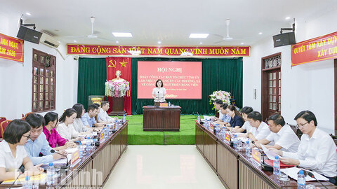 Đẩy mạnh công tác phát triển đảng viên góp phần xây dựng Đảng bộ tỉnh trong sạch, vững mạnh