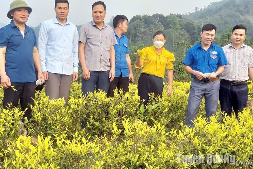 Chuyện ở vùng giáp ranh